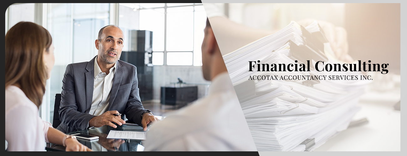 Financial Consultancy Banner